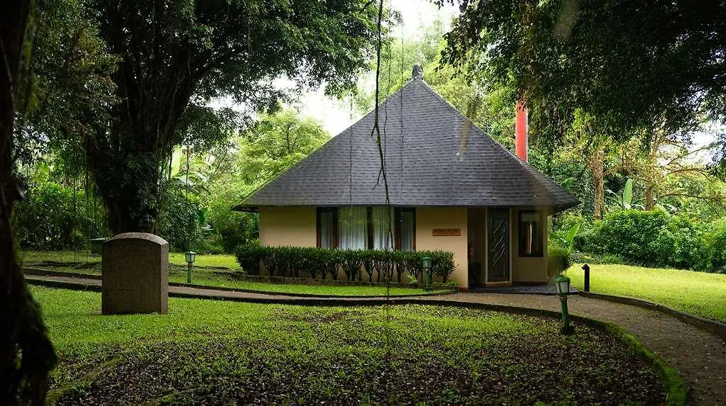 Royal Palm Galapagos Curio Collection Hotel By Hilton Беллависта